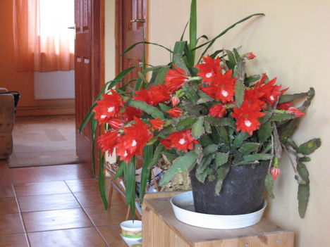 2010 014