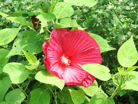 2011.07.22