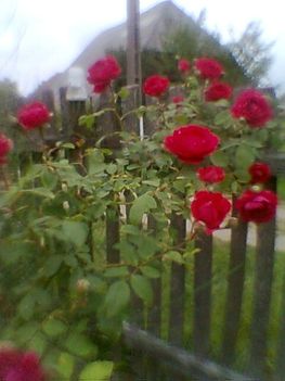 Imag0170