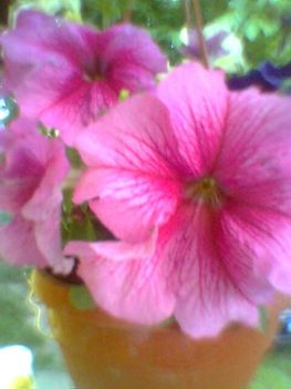 Imag0185