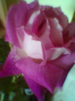 Imag0583