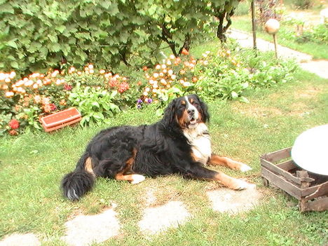 PIC_0074-1