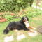 PIC_0074-1