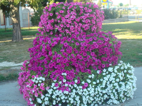 2011. aug.20 - Érdi Főtér és  Kévgaléria avatás - 065