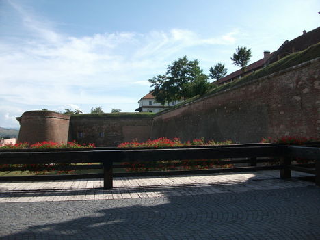 GY-Varfal