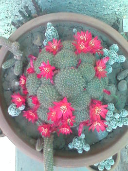 Kép0203