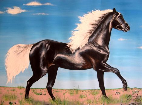 ANDALUSIAN HORSE 2 - aquarell painting (2007