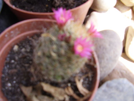 P1180056