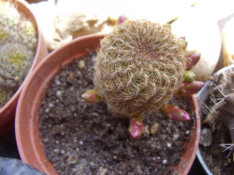 P1180057