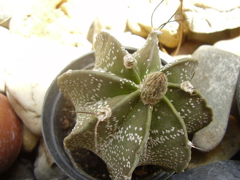 P1180058