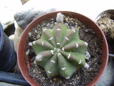 P1180059