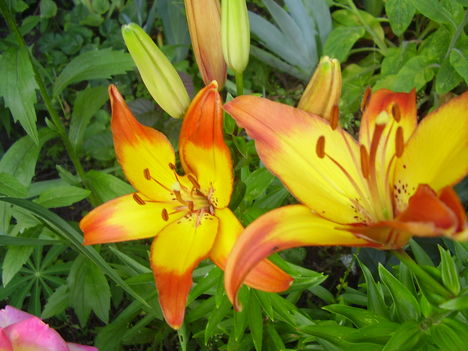 P1220203