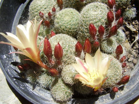 P1240004