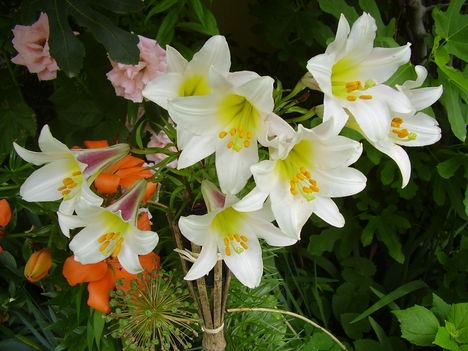 P1260236