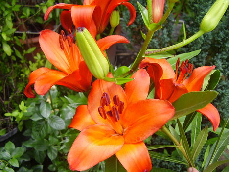 P1260238
