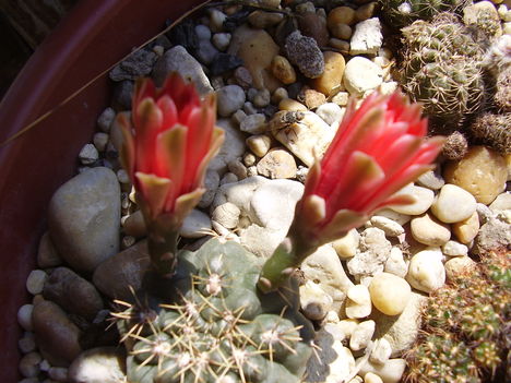P1280249