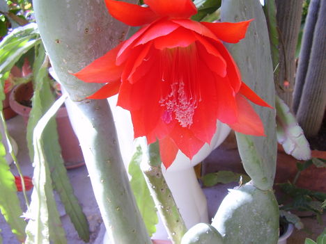 P1310014