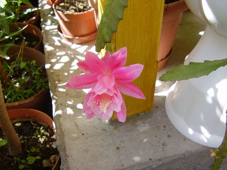 P1310025