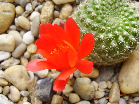 P2010057