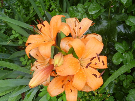 P2080069