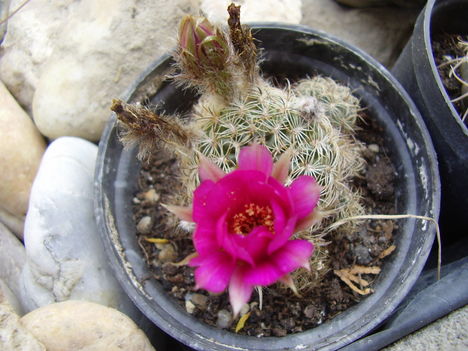 P2170095