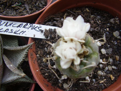 P2170097