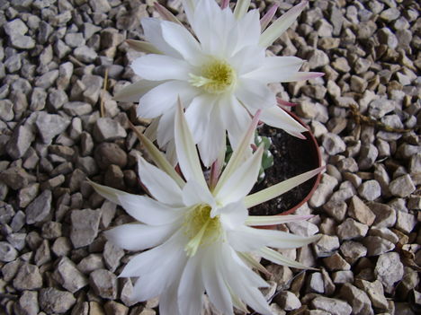 P3090039