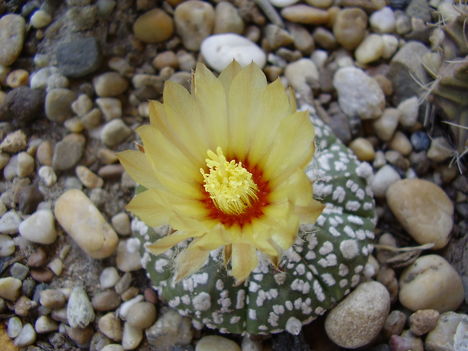 P3310015