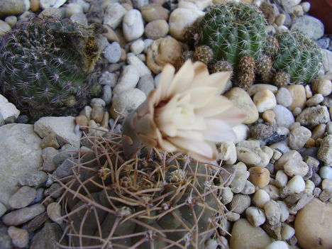 P3310022
