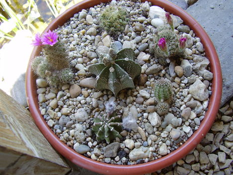P3310026