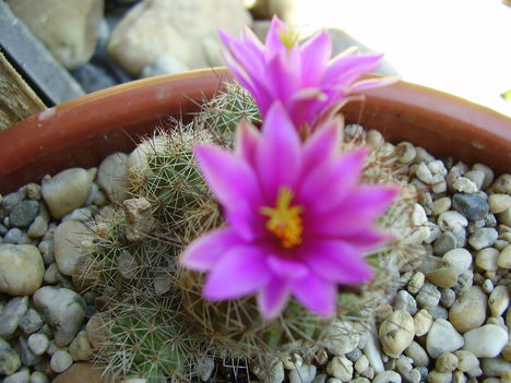 P3310033