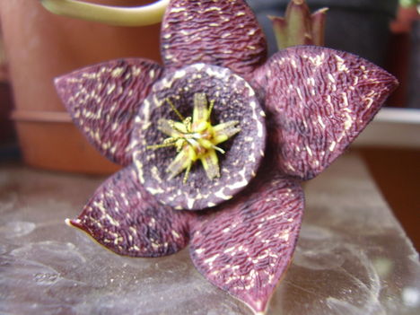 P6100022