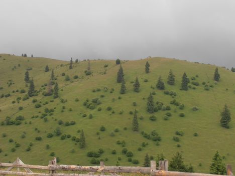 P6300208