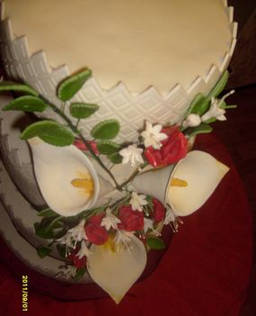 S6306851