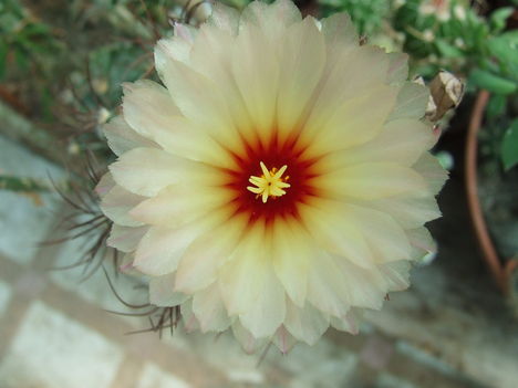 DSCF4745