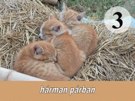 Harman parban