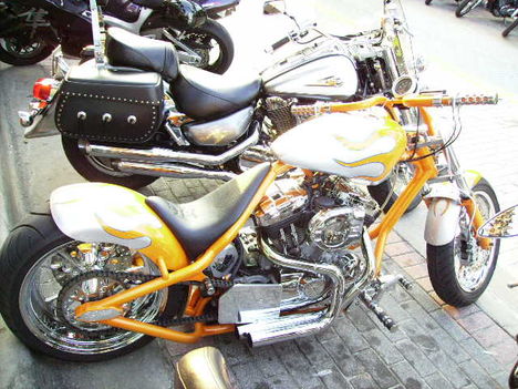 IMGP0147