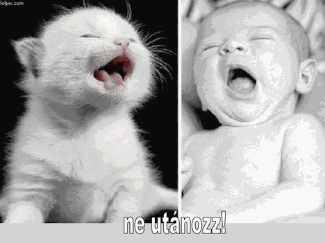 Ne utanozz