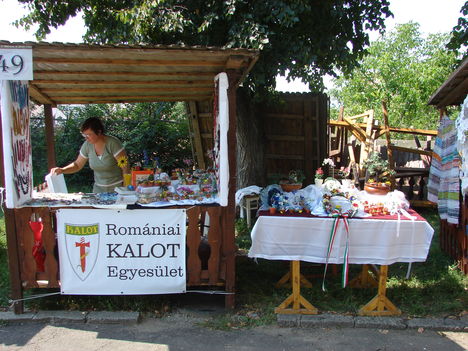 Székelyudvarhely