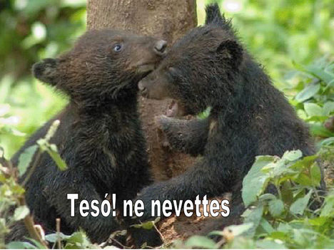 Teso ne nevettes