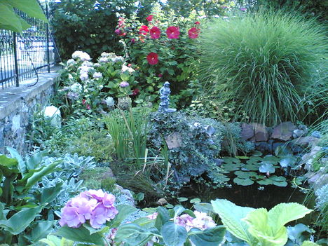 20110808(009)