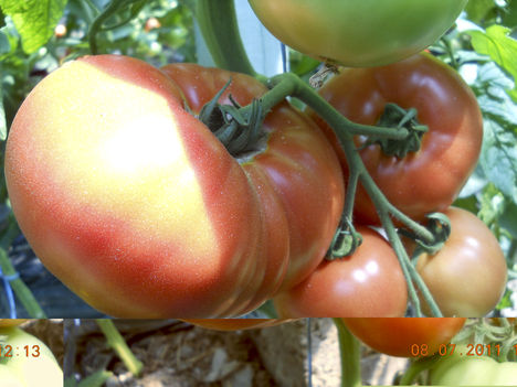 DSCN0739