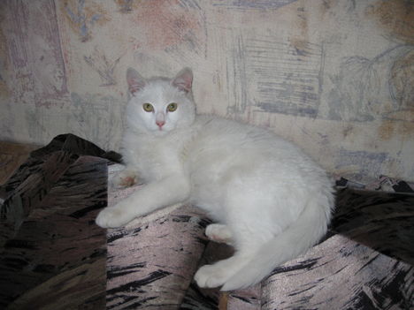 Kép 014