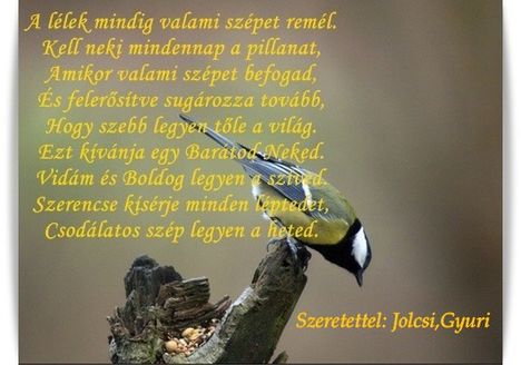 Szép új hetet kívánunk!
