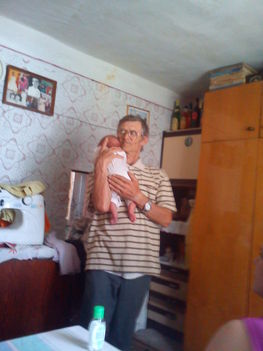 Fenyvesi papa