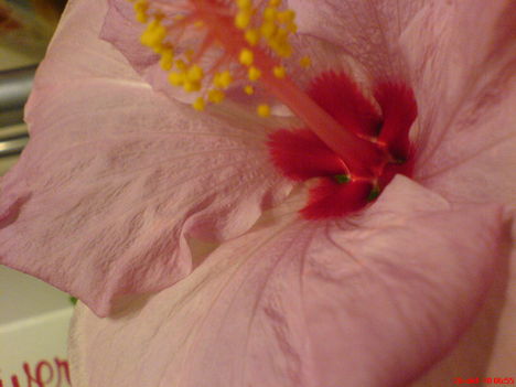 1 030