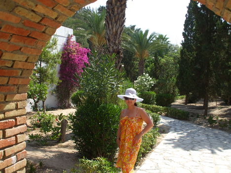 2011