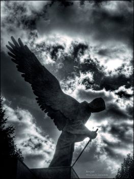 Angel_by_Dr4kon