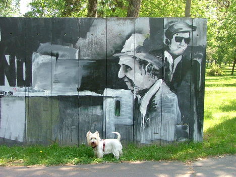 Cuky egy Vároligeti graffiti előtt
