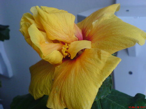 DSC08790
